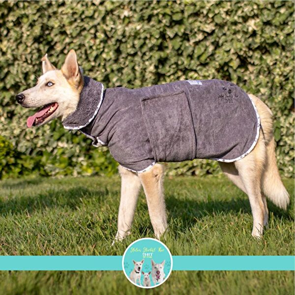 2H1T PET STORE Köpek Elbisesi