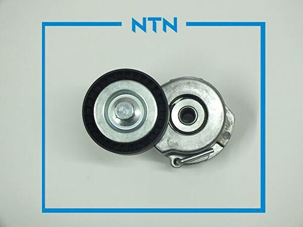 GVA Alternatör Rulmanı