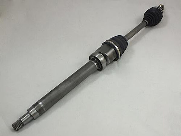 GVA Aks Körük & Kafası