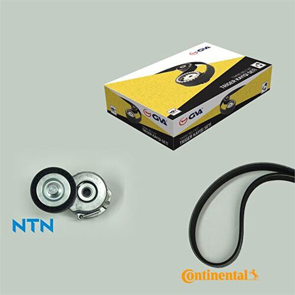 GVA Alternatör Rulmanı