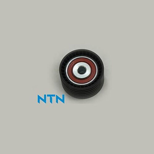 GVA Alternatör Rulmanı