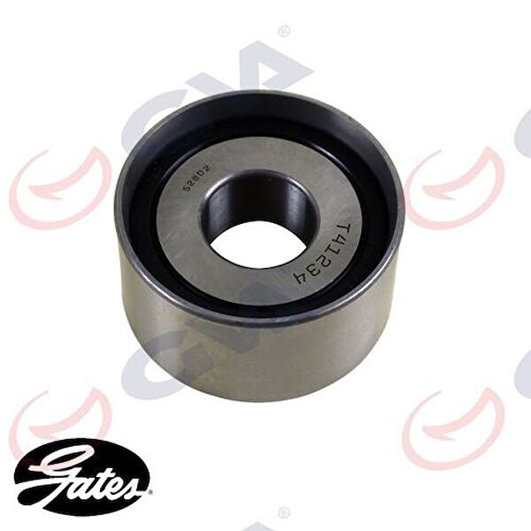 GVA Alternatör Rulmanı