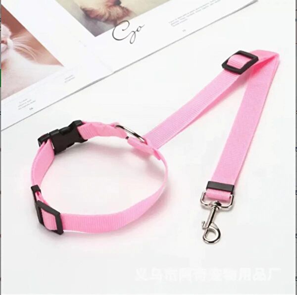 RAIKOU EUROPE Köpek Tasmaları