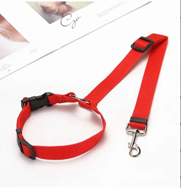 RAIKOU EUROPE Köpek Tasmaları