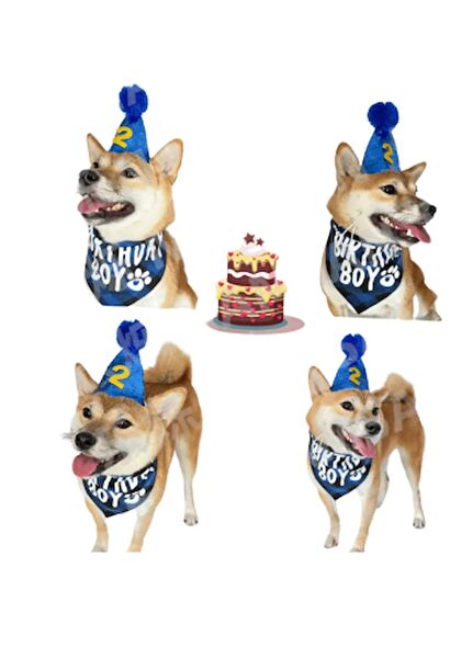 RAIKOU EUROPE Köpek Elbisesi