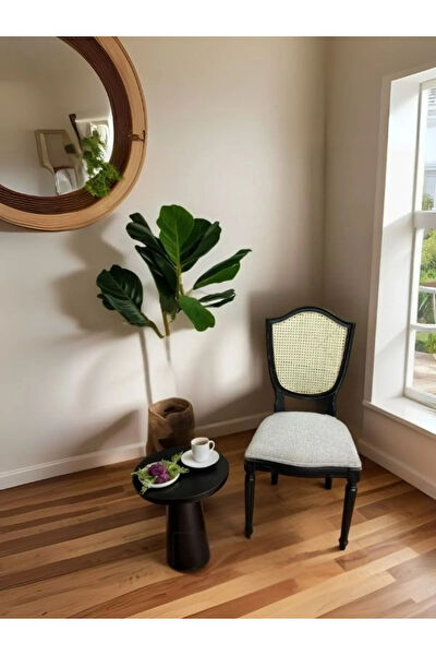 Gazzini Furniture Sandalye, Tabure, Bank