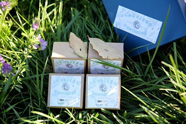 Lauriers D'Antioche Sabun