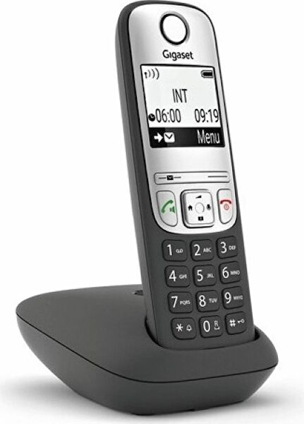 Gigaset Santral, Dect Telefonlar
