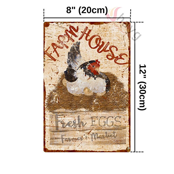 Hayg Equipment Duvar Süsleri