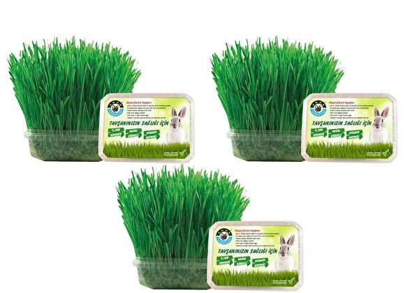 Amon Petshop Kemirgen Yemler, Ek Besinler