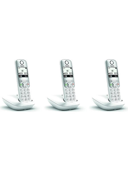 Gigaset Santral, Dect Telefonlar