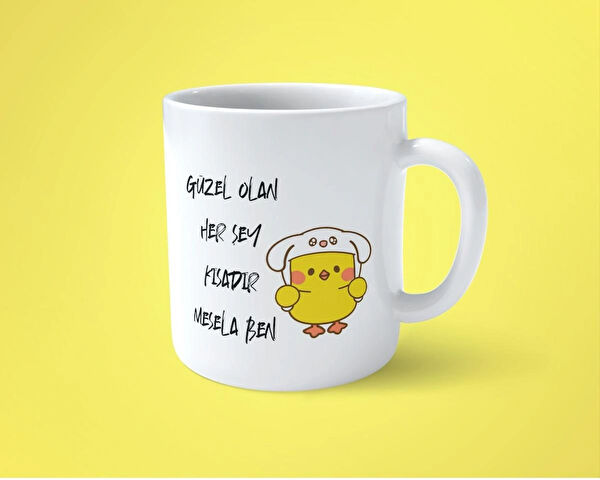 hesaplisiburada Kupa