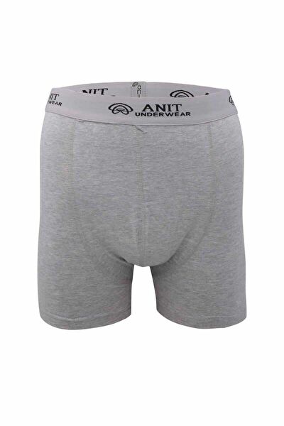 Anıt Erkek Boxer, Slip, Külot