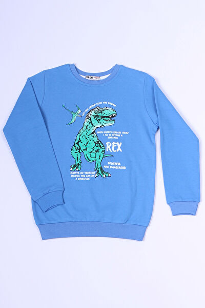 HÇM Erkek Çocuk Sweatshirt