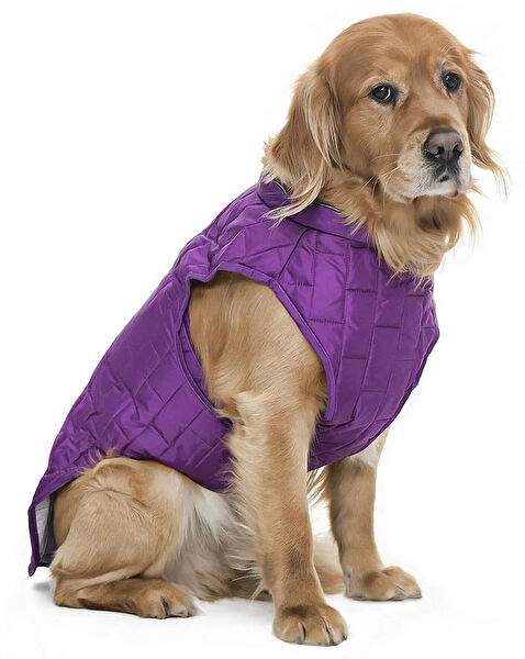 Petza Köpek Elbisesi