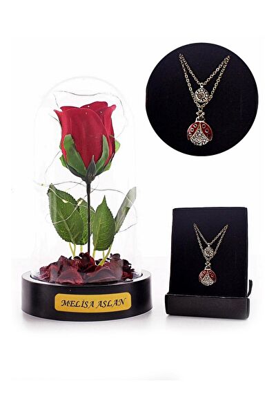 Home Dekor Hediye Hediyelik Ürün