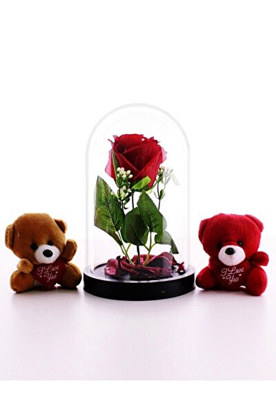 Home Dekor Hediye Hediyelik Ürün