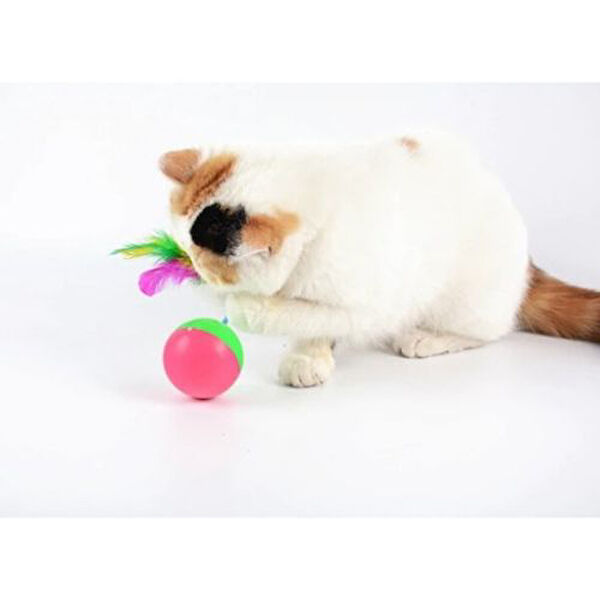 Hediye Bahçesi Kedi Oyuncakları