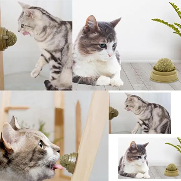 Hediye Bahçesi Kedi Oyuncakları