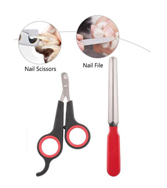 Hediye Bahçesi Köpek Sağlık & Bakım Malzemeleri