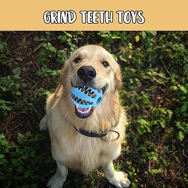 Hediye Bahçesi Köpek Oyuncakları