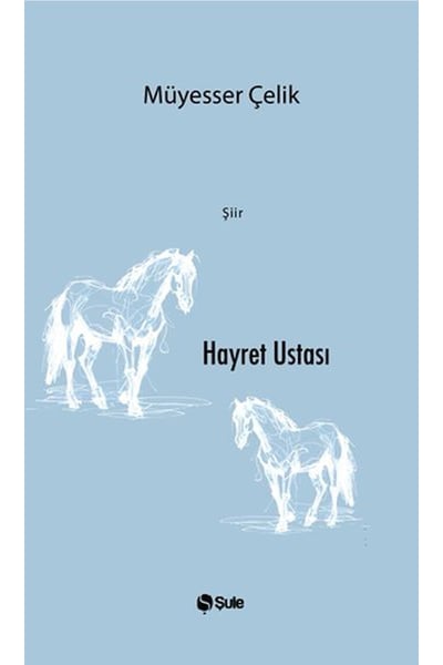 Şule Yayınları Şiir Kitapları