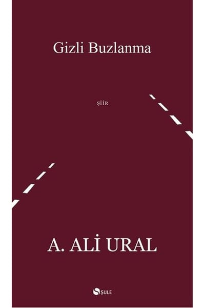 Şule Yayınları Şiir Kitapları