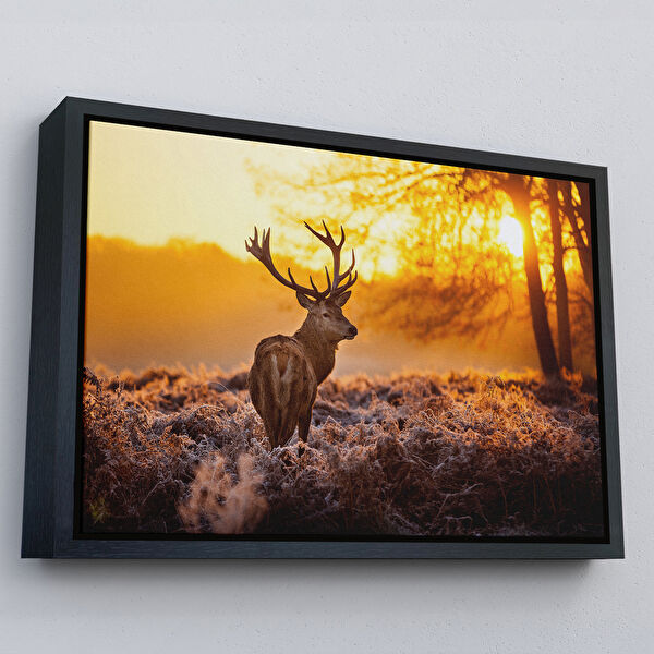 Harita Sepeti Kanvas Tablo