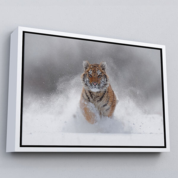 Harita Sepeti Kanvas Tablo