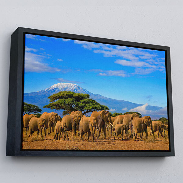 Harita Sepeti Kanvas Tablo