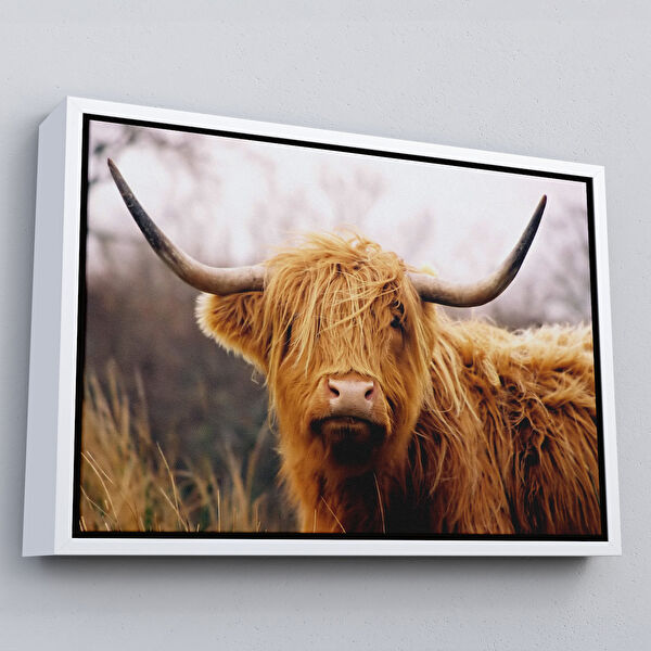 Harita Sepeti Kanvas Tablo