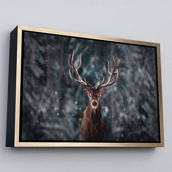 Harita Sepeti Kanvas Tablo