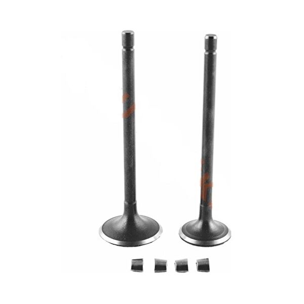 HSGL Krank, Piston ve Contalar