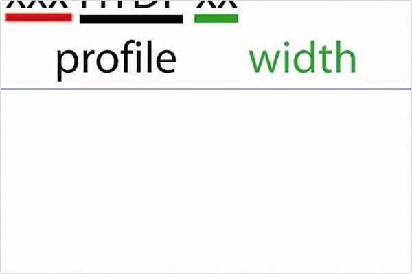 Hutchinson Triger Kayışı