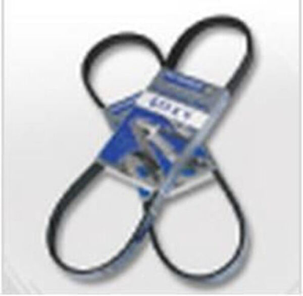 Hutchinson V Kayışı