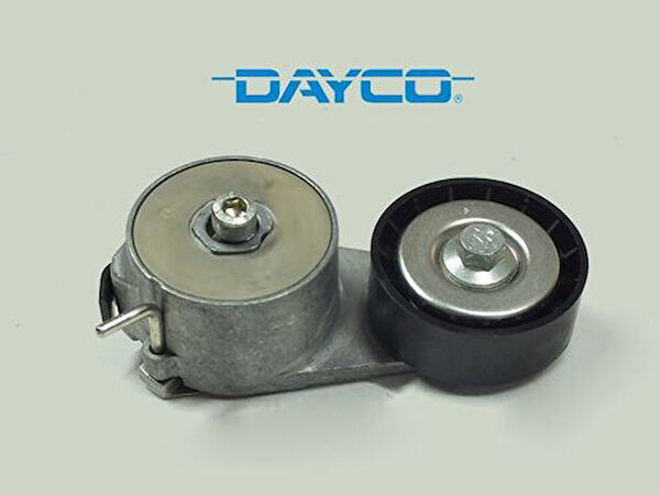 Hutchinson Alternatör Rulmanı