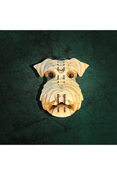 Hüma Tasarım ve Aksesuar Aplik