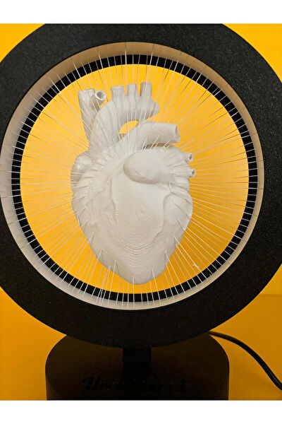 3D Hayal Atölyesi Gece Lambası