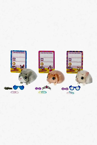 OMZ Kemirgen Oyuncakları