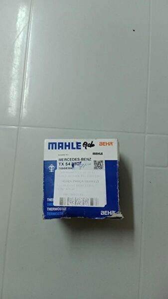 Behr Termostat