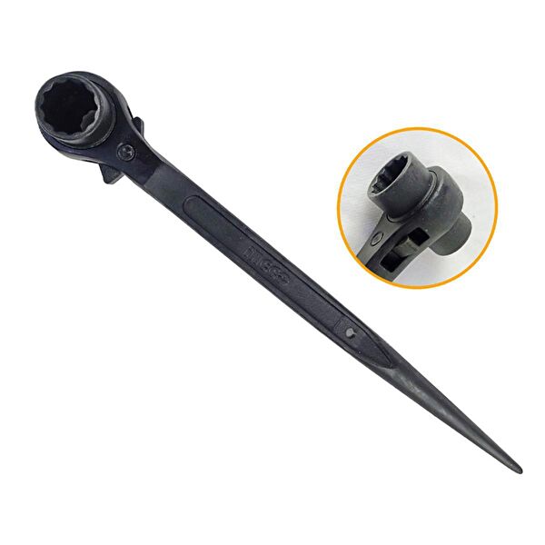 Cat Power Alyan, Lokma Takımı