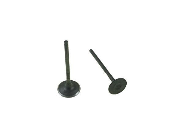 Hsb Krank, Piston ve Contalar