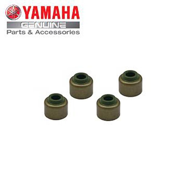 Hsb Krank, Piston ve Contalar