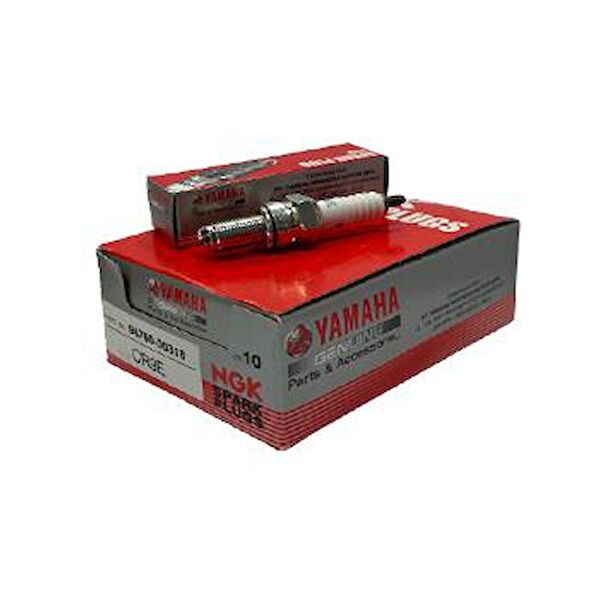 Hsb Krank, Piston ve Contalar