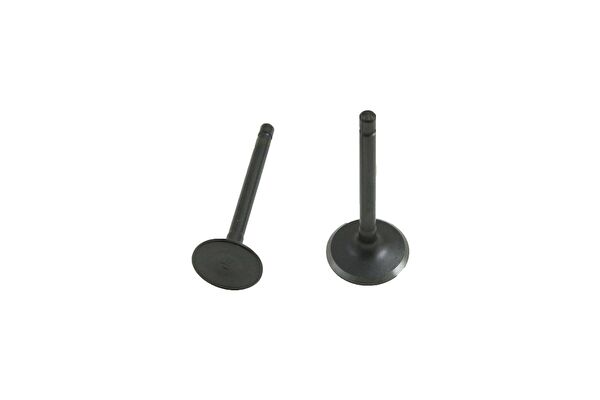 Hsb Krank, Piston ve Contalar