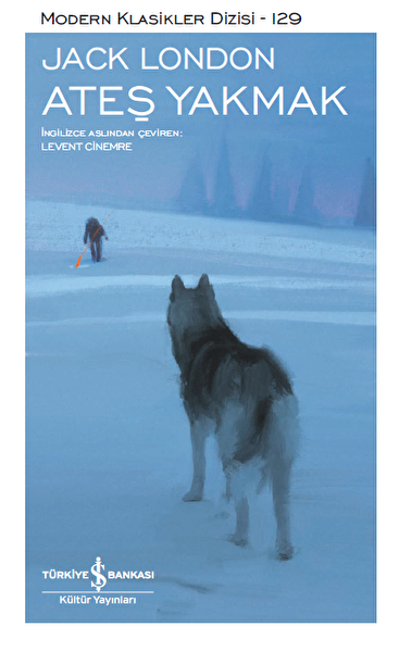 Türkiye İş Bankası Kültür Yayınları Roman