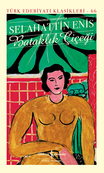 Türkiye İş Bankası Kültür Yayınları Roman