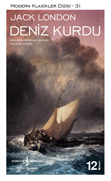 Türkiye İş Bankası Kültür Yayınları Roman