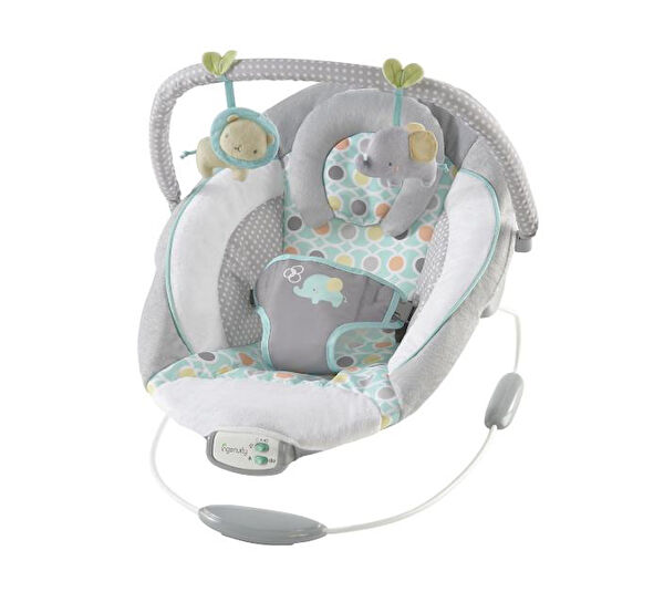 Ingenuity Ana Kucağı