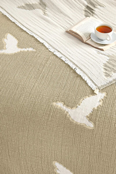 EvoletHome Pike takımı